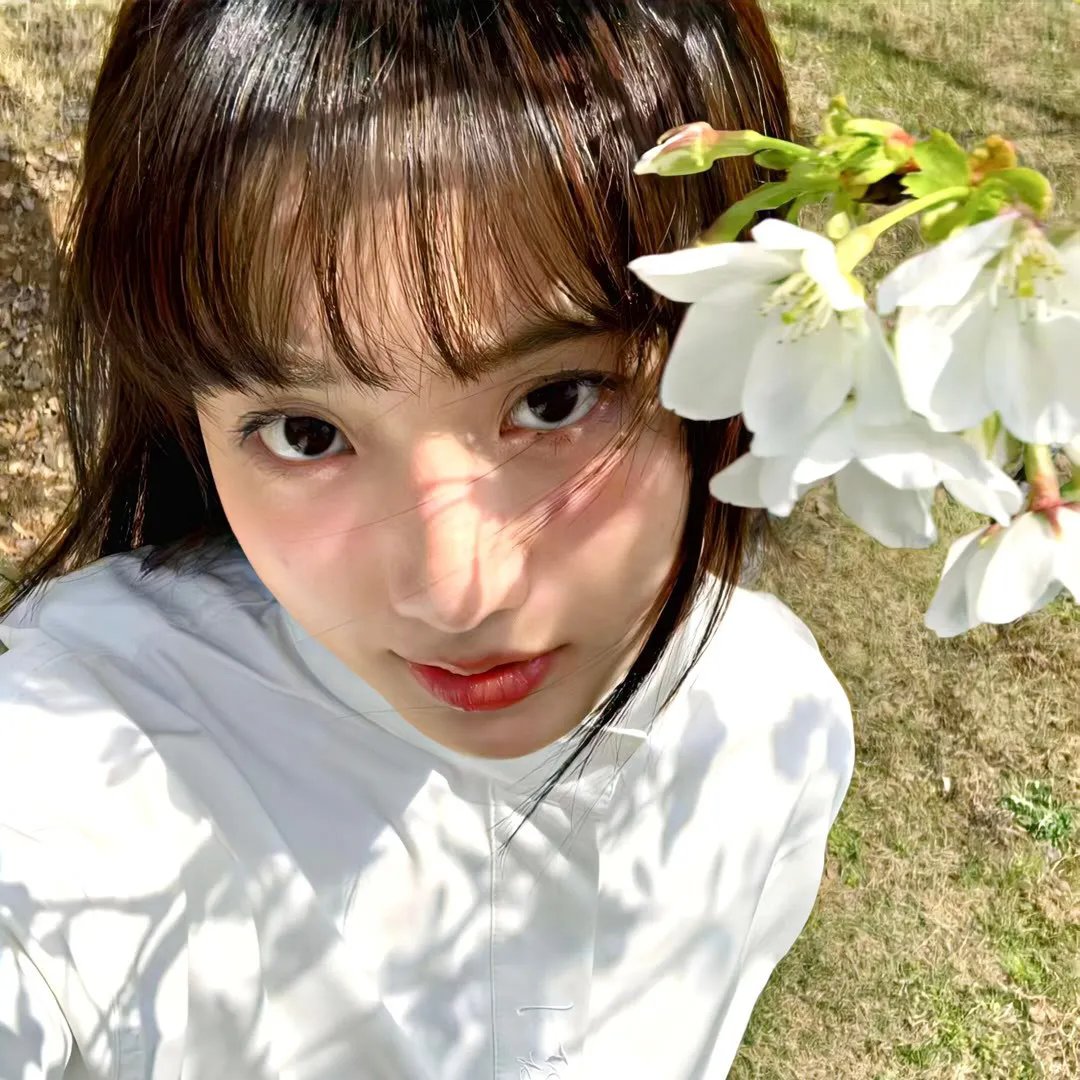 布莱登棒棒糖