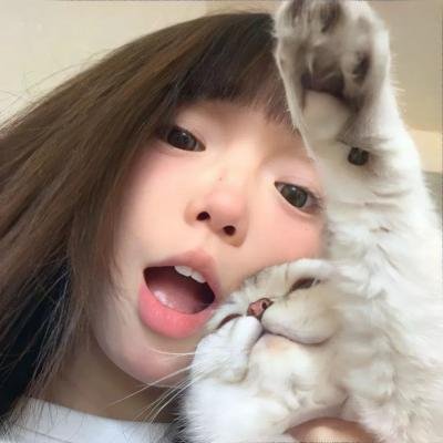 毛毯猫